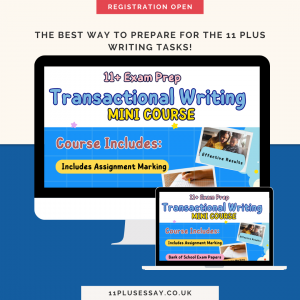 transactional writing mini course
